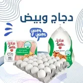 الدجاج والبيض